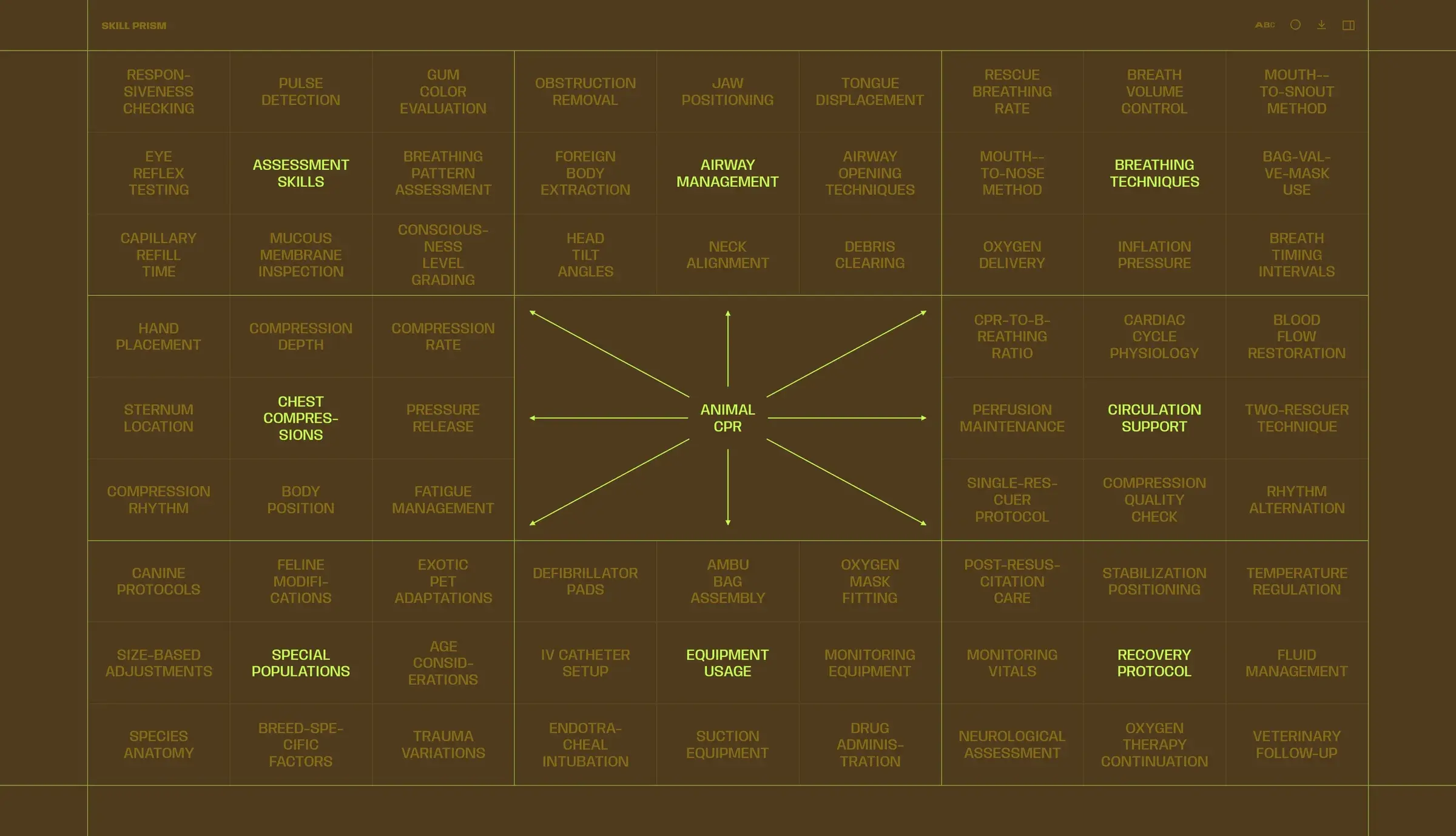 Skill Prism — a clean view of an exploded topic